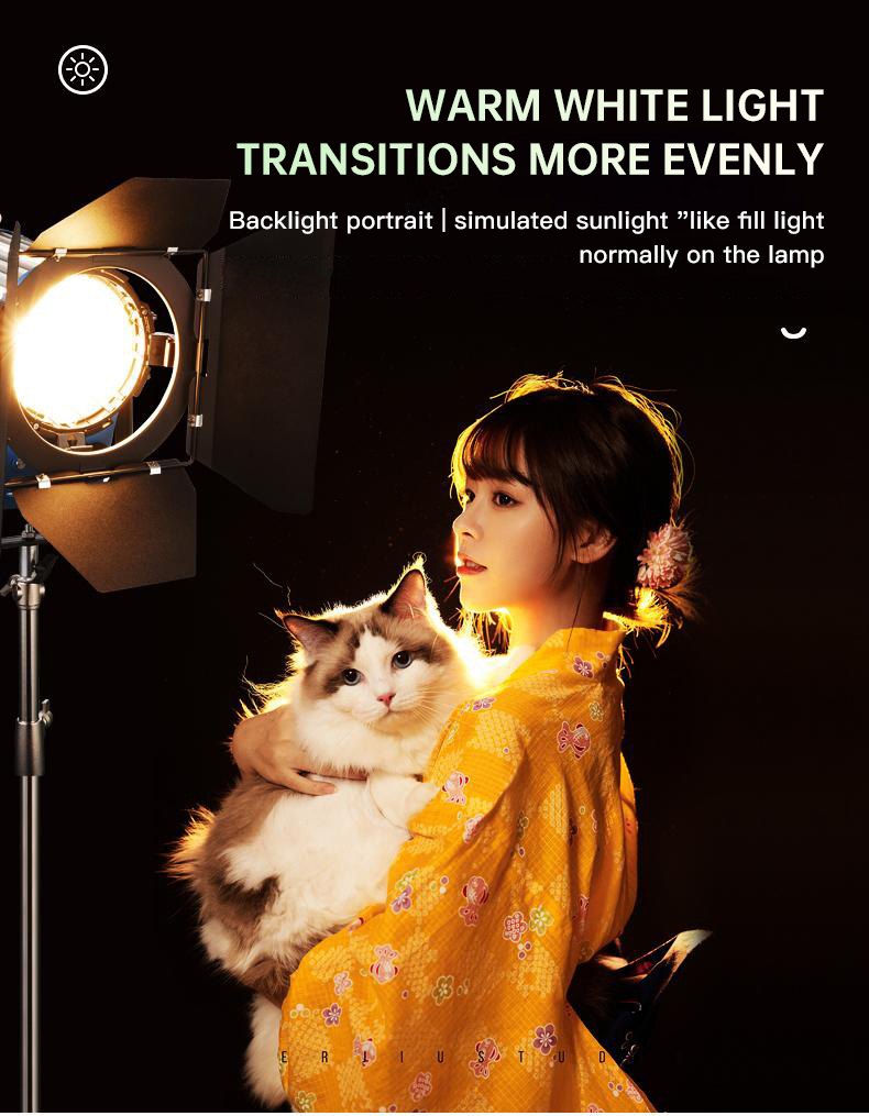 Beiyang 2000W Spotlight Hair L - Portrait Photography With Lighting ulasan dan harga